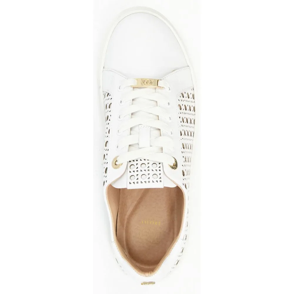 Dune Ease Trainer