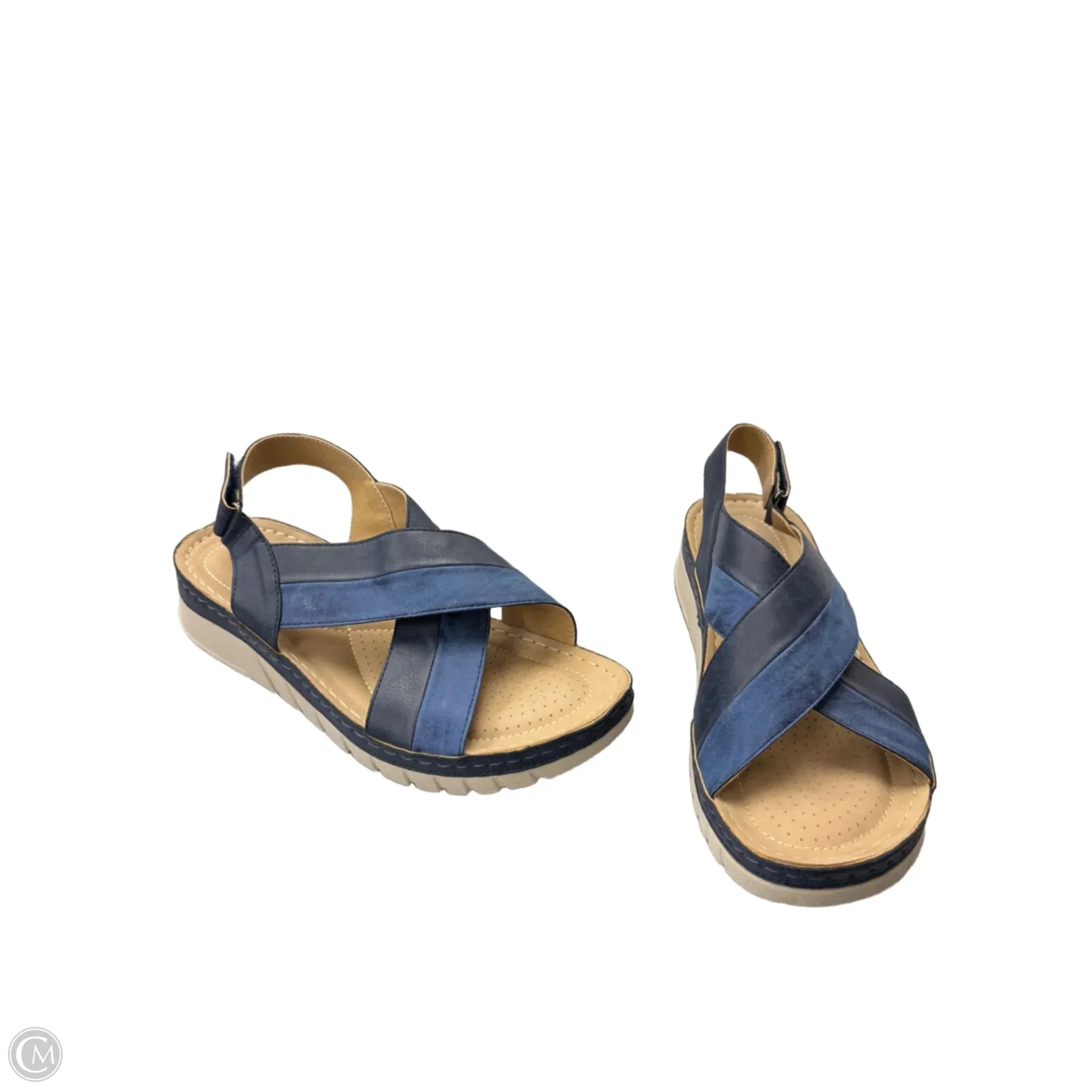 Sandals Heels Wedge By Clothes Mentor In Blue, Size: 11