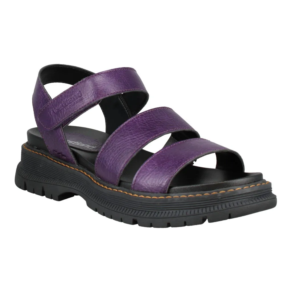 Westland 769528 Peyton 08 780 754 Purple