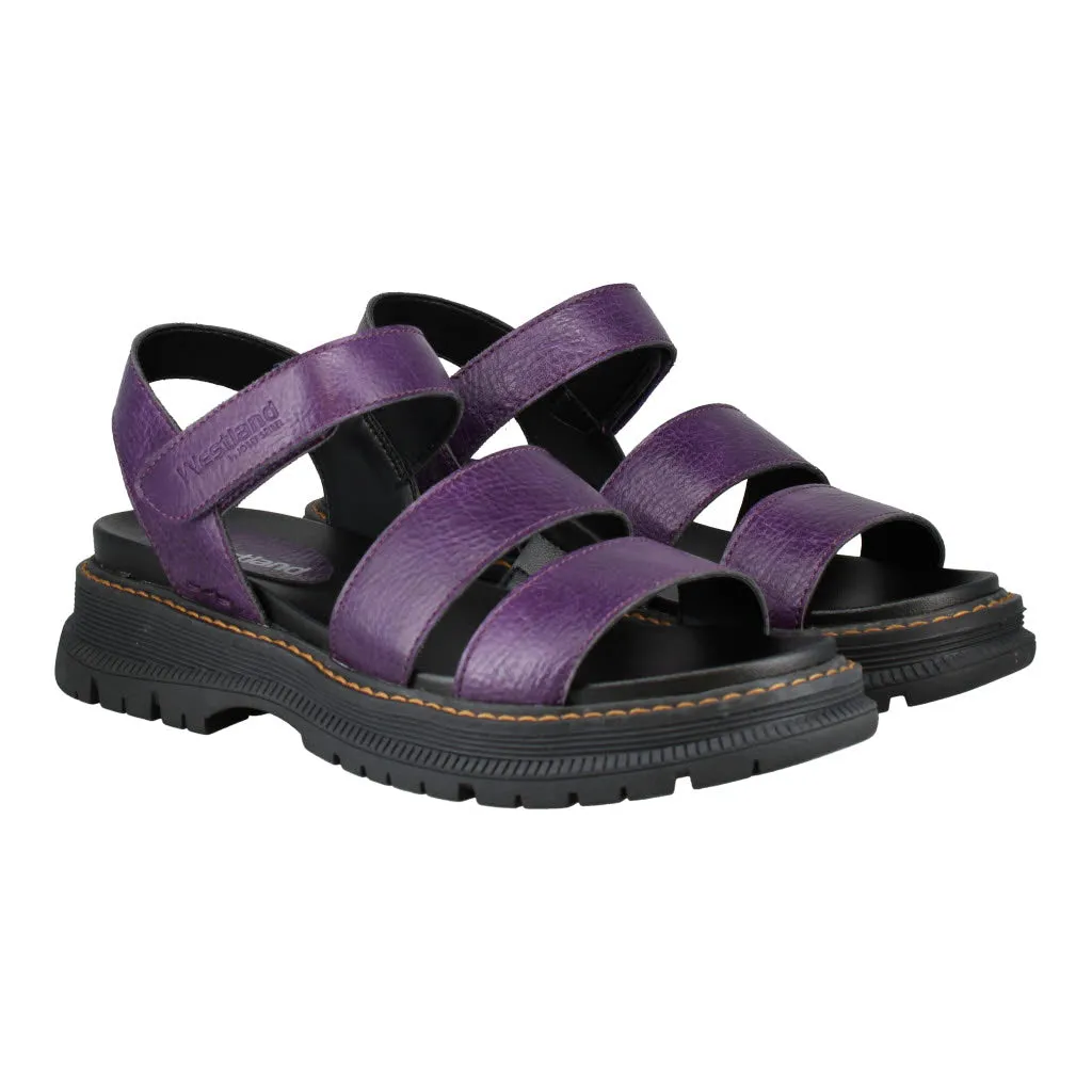 Westland 769528 Peyton 08 780 754 Purple